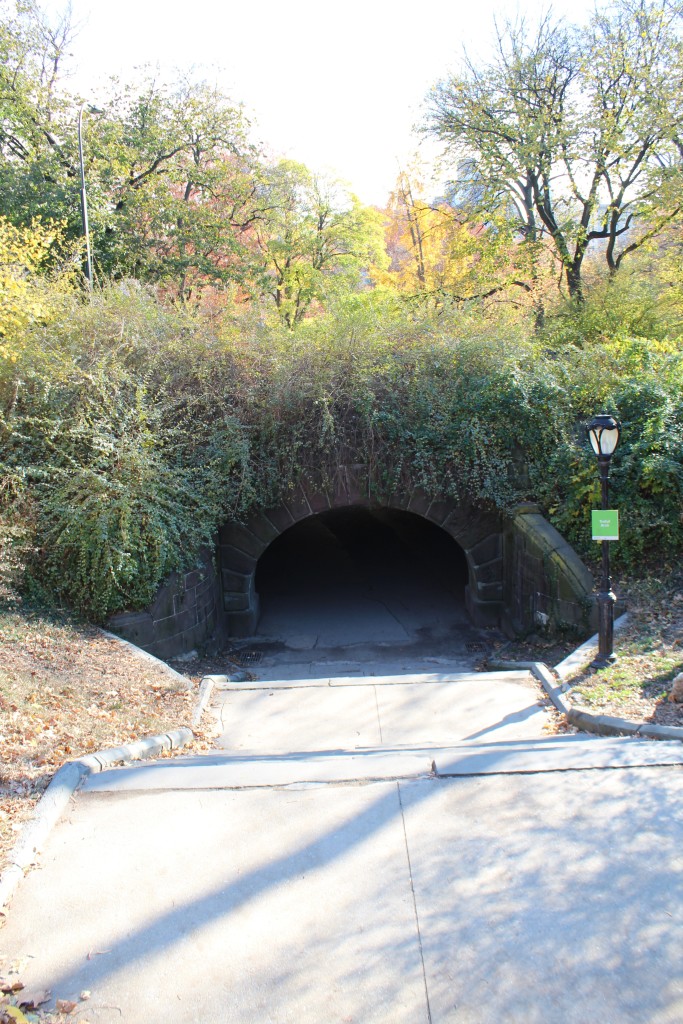 Caitlin Hartley of Styled American tunnel in central park, bridge in central park