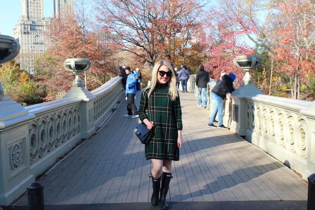 Caitlin Hartley of Styled American girl on bow bridge in Central Park in green dress