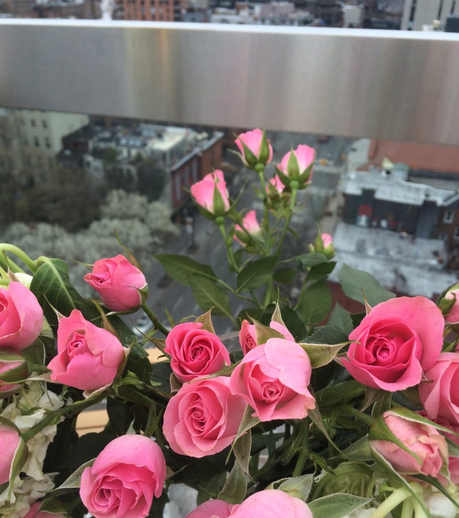 Caitlin Hartley of Styled American pink roses on nyc rooftop