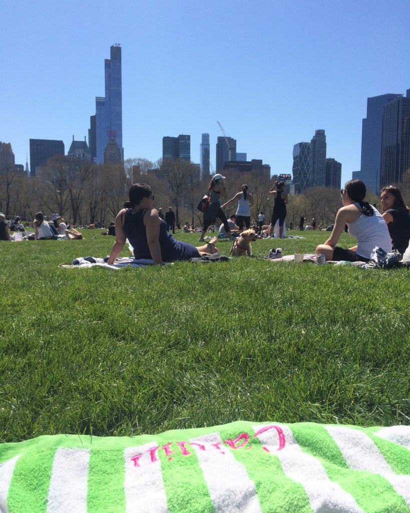 Caitlin Hartley of Styled American picnic in central park