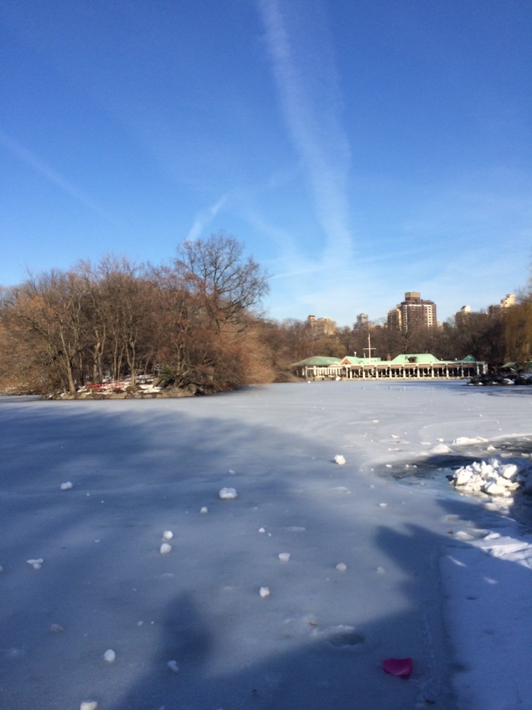 Caitlin Hartley of Styled American frozen lake overlooking the boathouse in central park