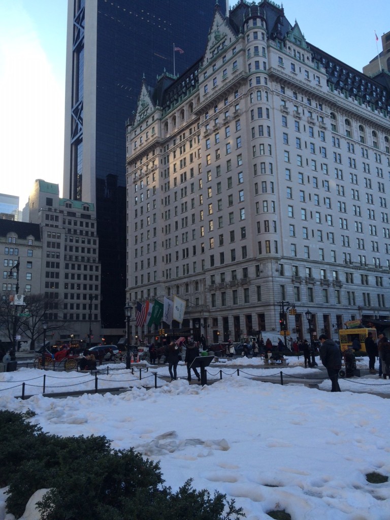 Caitlin Hartley of Styled American snow in front of the Plaza Hotel