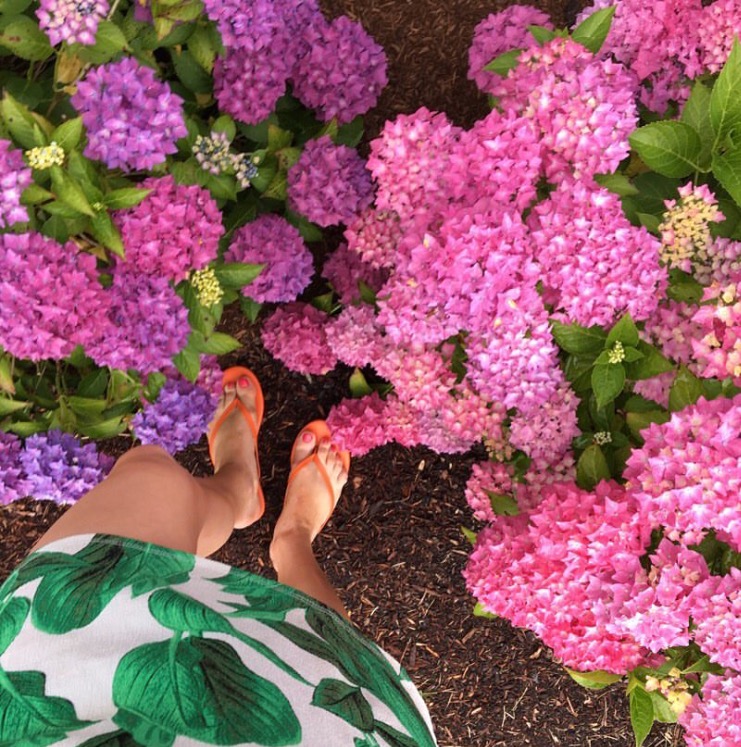 styled-american-caitlin-hartley-banana-leaf-print-dress-hydrangeas 