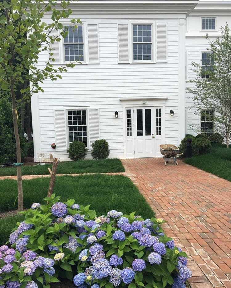 southampton-white-house-hydrangeas 