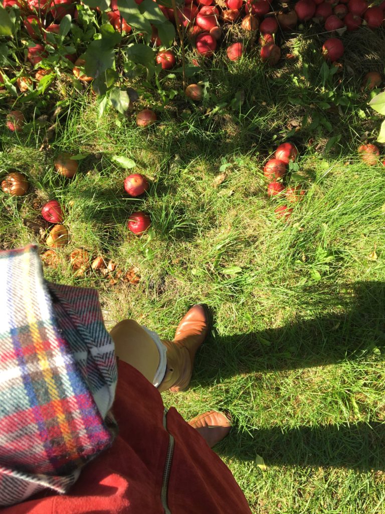 shoefie-apple-orchard http://styledamerican.com/apple-orchard-and-pumpkin-patch/