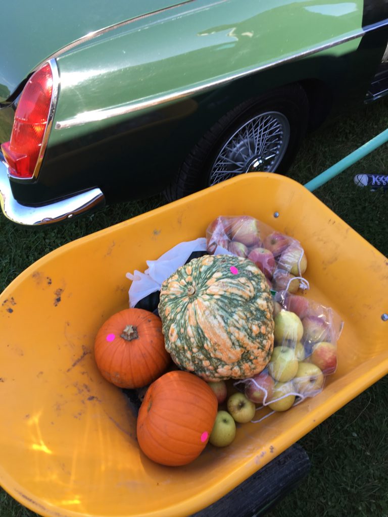 pumpkins-in-wheel-barrel http://styledamerican.com/apple-orchard-and-pumpkin-patch/