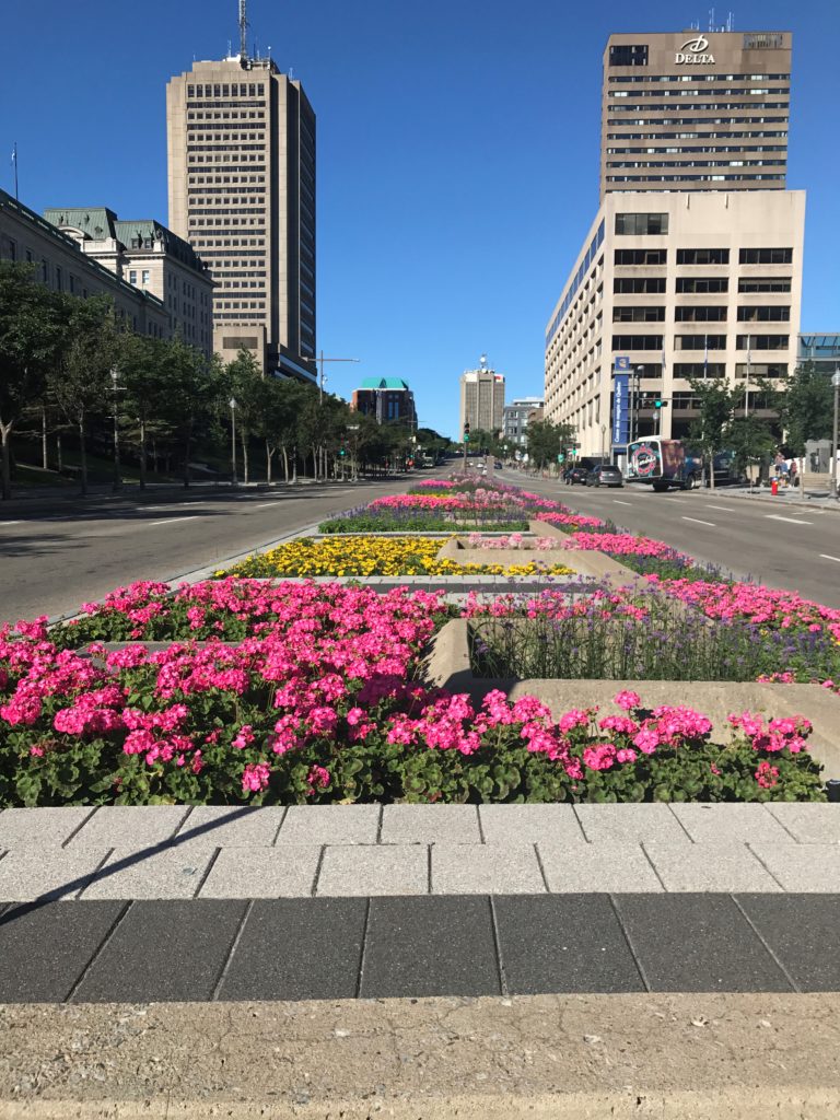 flowers in Quebec City